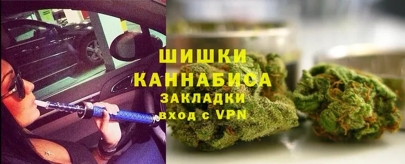 где купить   Новозыбков  Каннабис Ganja 